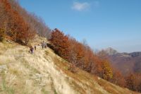 Lagosanto-San Pellegrino in Alpe