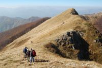 Lagosanto-San Pellegrino in Alpe