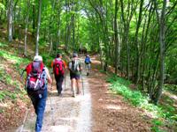 Monte Stivo