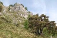 Monte Stivo