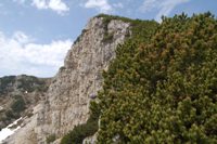Monte Stivo