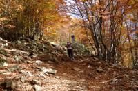 Alpe di Succiso