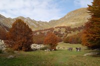 Alpe di Succiso