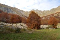 Alpe di Succiso