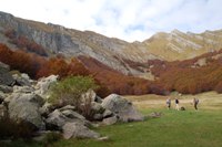 Alpe di Succiso