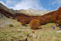 Alpe di Succiso
