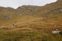 Alpe di Succiso