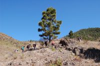 Tenerife - Salita cresta del Teno