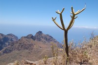 Tenerife - Pico del Teide