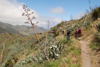 Tenerife - Pico del Teide