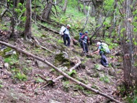 Il triangolo Lariano