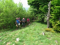 Il triangolo Lariano