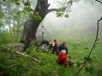 Il triangolo Lariano