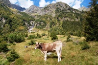 Val di Fleres - rif. Tribulaun