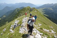 Passo Brocon - Trodo dei fiori