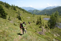 Passo Brocon - Trodo dei fiori