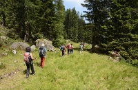 Passo Brocon - Trodo dei fiori