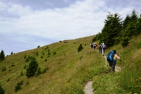 Passo Brocon - Trodo dei fiori