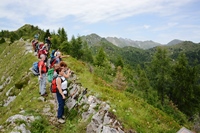 Passo Brocon - Trodo dei fiori