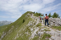 Passo Brocon - Trodo dei fiori