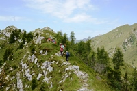 Passo Brocon - Trodo dei fiori