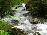 Val Campelle - Lagorai
