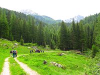 Val Campelle - Lagorai