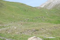Val Ferret