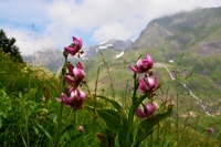 Val Formazza