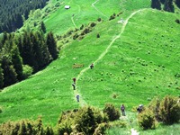 Valmorel-prealpi bellunesi