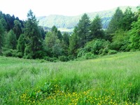 Valmorel-prealpi bellunesi