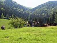 Valmorel-prealpi bellunesi