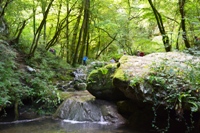 Val Sorda - Monti Lessini