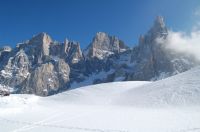Valvenegia