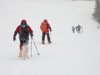 Val Venegia
