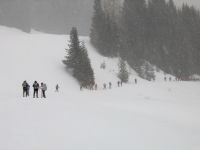 Val Venegia