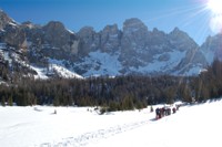 Valvenegia
