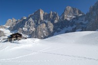 Valvenegia