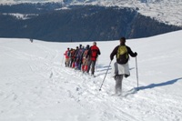 Valvenegia