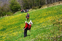 Orrido di Gea - Villa d'Aiano