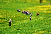 Orrido di Gea - Villa d'Aiano