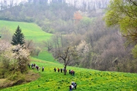 Orrido di Gea - Villa d'Aiano