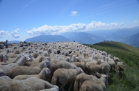 Traversata dalle Viote al monte Stivo