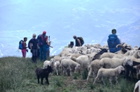 Traversata dalle Viote al monte Stivo