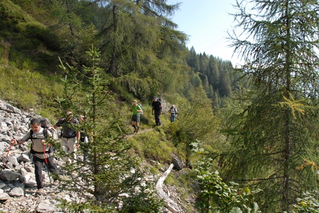 4 Passi nel Cadore - rif Antelao