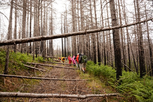 Parco nazionale dell'Aspromonte