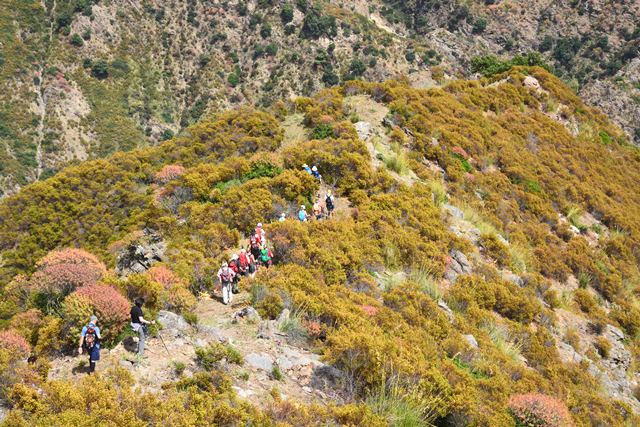 Parco nazionale dell'Aspromonte