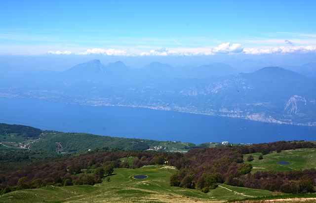 Fiori del monte Baldo