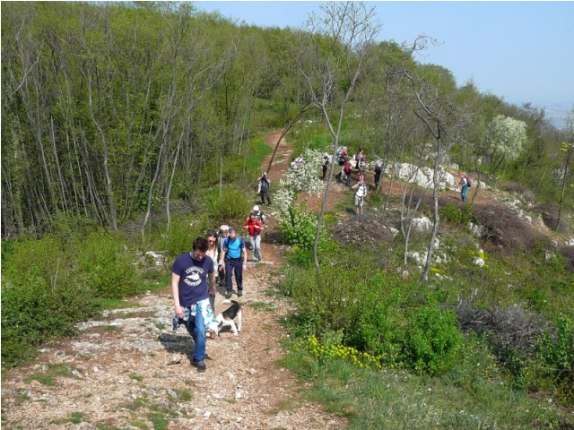 Colli Berici