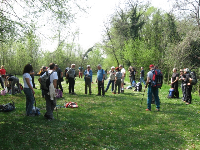 Colli Berici